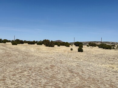 471 Cimarron Dr unit LOT 116 CIMARRON RAN, Quemado, NM 87829 - photo 2