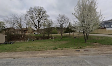 Lot 15-16 Blue Water Cir, Holiday Island, AR 72631 - photo 4