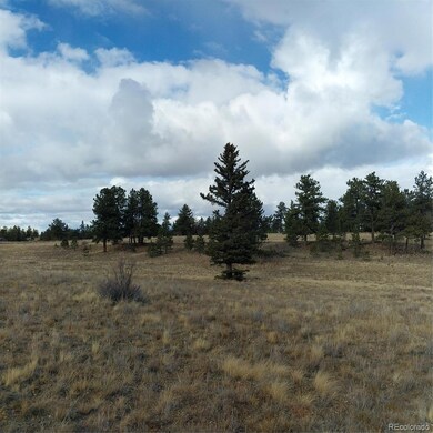 0 Singletree Rd unit REC7886163, Buena Vista, CO 81211 - photo 7