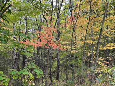 NH New Hampshire Route 175, Thornton, NH 03223 - photo 4