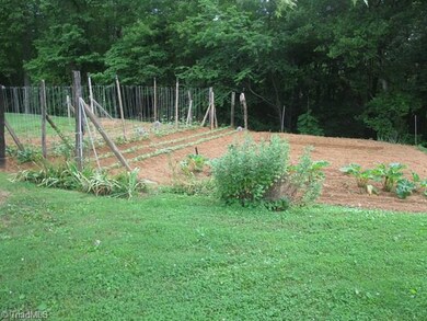 Vegetable garden