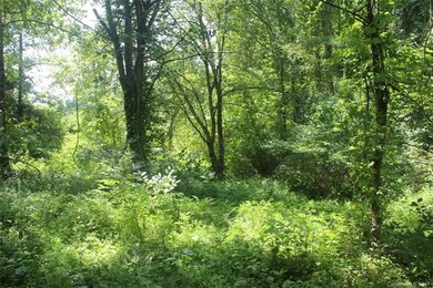 59 Wesley Dr, Leicester, NC 28748 - photo 7