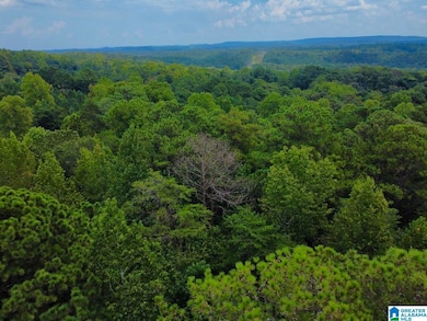 4251 Cedar St unit 1, Irondale, AL 35210 - photo 7