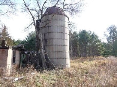 W8673 30th St, New Lisbon, WI 53950 - photo 3