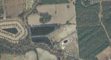 TBD Wilbur Rd, Conway, SC 29527 - photo 4