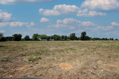 16.72AC Joe Allen Rd, Pilot Point, TX 76258 - photo 5