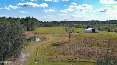 4568 Treebrook Rd, New Smyrna Beach, FL 32168 - photo 5