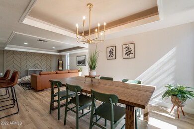 Hackamore-9