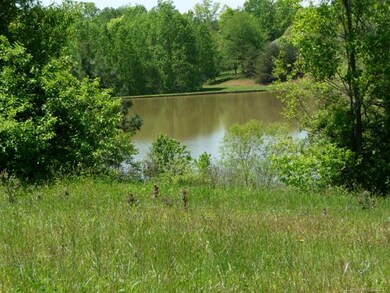 Lot 28 Luther Dr unit Lot 28, Iron Station, NC 28080 - photo 2