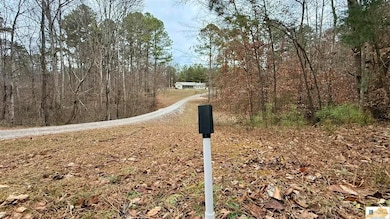 7384 N Highway 55, Jamestown, KY 42629 - photo 5