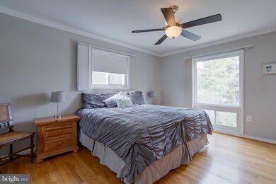 4906 N Centaurs Ct, Annandale, VA 22003 - photo 6