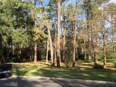 326 Carnoustie, St. Simons Island, GA 31522 - photo 2