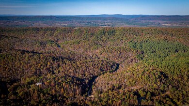 CR185 Camilla Springs, Glenwood, AR 71943 - photo 5