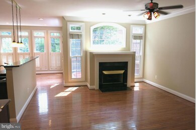 10357 Fitzpatrick Ln, Oakton, VA 22124 - photo 4