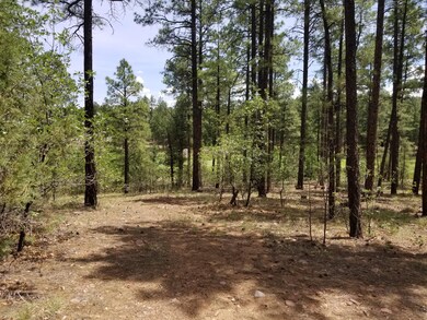 3950 Shaggy Bark Road