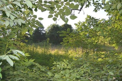 2051 Bruners Chapel Rd, Harrodsburg, KY 40330 - photo 5