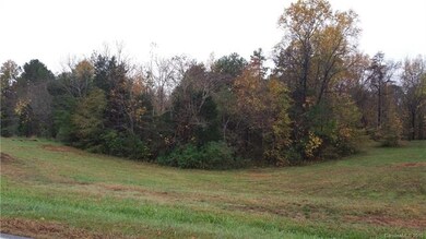 000 Mt Zion Church Rd unit 2 & 3, Iron Station, NC 28080 - photo 7