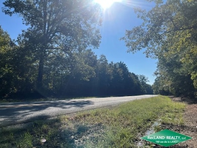 Hwy 313, Stamps, AR 71860 - photo 5