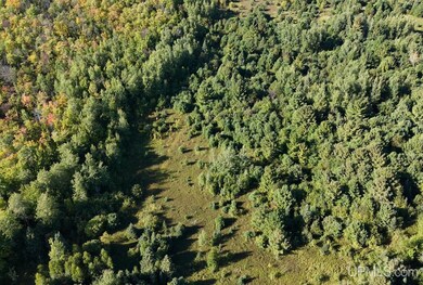 TBDE20 Firesteel Rd, Ontonagon, MI 49953 - photo 4
