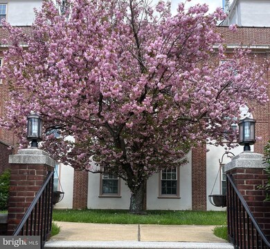 711 N Broom St unit 3, Wilmington, DE 19805 - photo 2