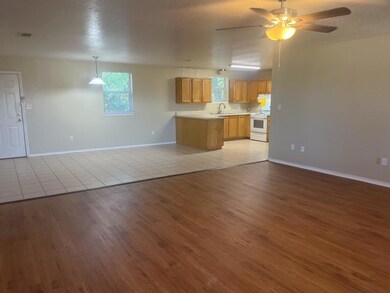 214 Bobbie Ann Ct, Granbury, TX 76049 - photo 2