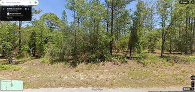 TBD SW Buena Vista Rd, Dunnellon, FL 34431 - photo 3