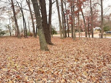 0 Ivy Woods Dr, Forest, VA 24551 - photo 2