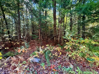 122 & 123 Aspen Estates, Rome, ME 04963 - photo 7