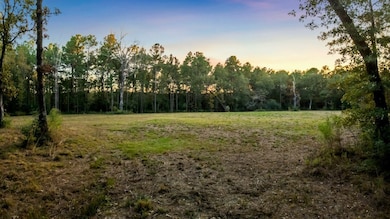 17453 Shop Branch Rd, Huntington, TX 75949 - photo 6