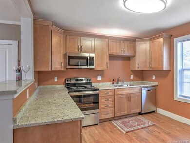 144 Reed St, Asheville, NC 28803 - photo 3