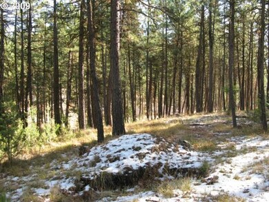 0 Eagle Rock unit 9088562, Canyon City, OR 97820 - photo 2