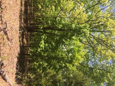 0 Ferry, Winslow, AR 72959 - photo 3