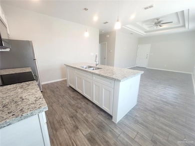 Kitchen featuring white cabinets, a tray ceiling, dark wood-style floors, and light stone counters