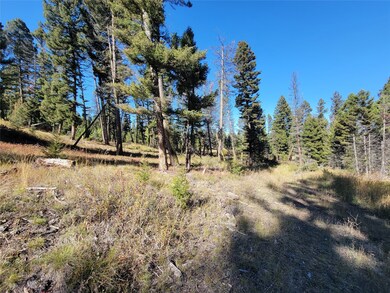 323 Trails End Ln, Helmville, MT 59843 - photo 7