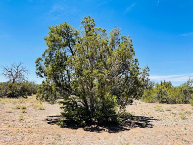9558 Bird Dog Circle Photo 7