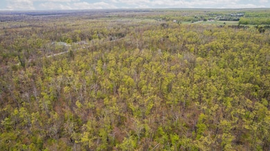 3-web-or-mls-DJI_0008