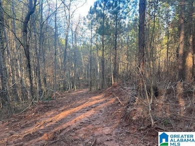 0 Lambert Rd unit 56 Ac 21376944, Cragford, AL 36255 - photo 3