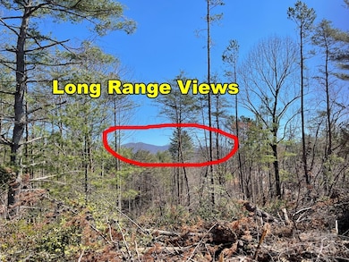 84 Union Chapel Rd, Weaverville, NC 28787 - photo 2