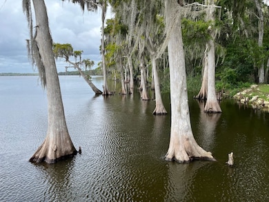 120 N July, Georgetown, FL 32139 - photo 2