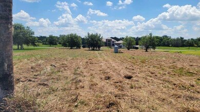 Backyard view of property facing FishHawk Heights Run after lawn maintenance