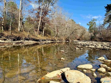 3 County Road 137 unit 504549, Cedar Bluff, AL 35959 - photo 2