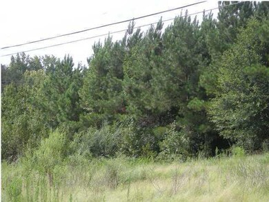 0 Hwy 27 unit 1524193, Trion, GA 30753 - photo 7