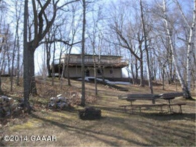 7251 7251 Blackwell Dr SW, Holmes City, MN 56341 - photo 3