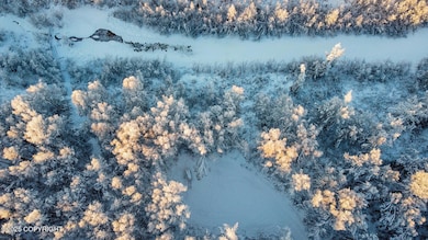 49246 S Hunter Dr, Willow, AK 99688 - photo 6