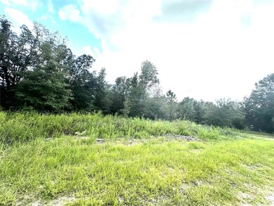 0 SW 134 Ct unit MFROM709668, Dunnellon, FL 34432 - photo 2
