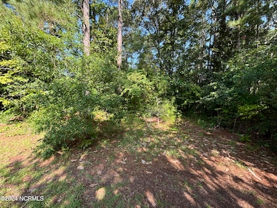 102 W Liberty St, Williamston, NC 27892 - photo 2