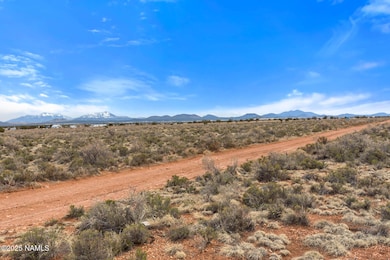 2694 E Columbus Dr, Valle, AZ 86046 - photo 7