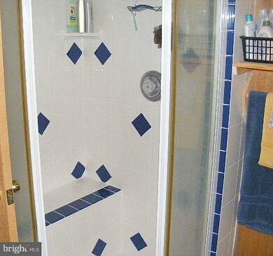 217 Summerwood Dr, Mathias, WV 26812 - photo 4