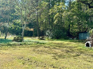 Back yard