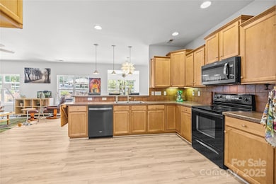 1010 Downing Ct, Indian Trail, NC 28079 - photo 5